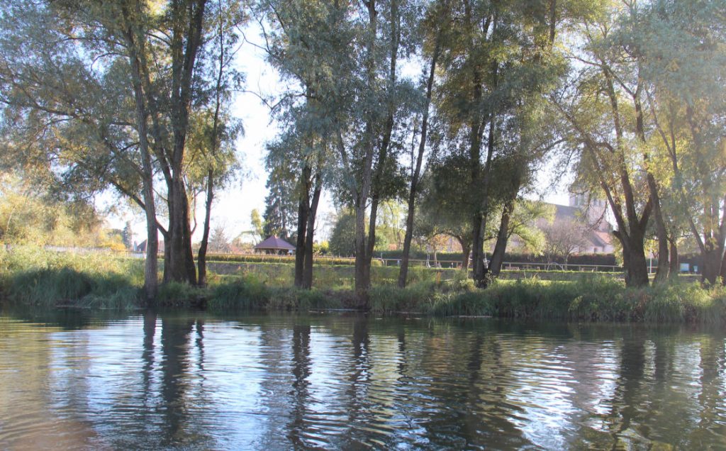 Le paquier vu de la Saône