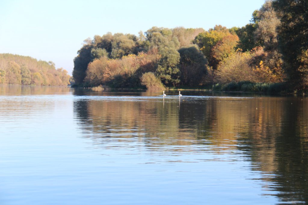 Balade sur la Saône