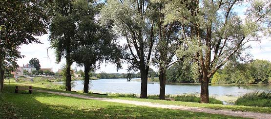 La berge de la Saône