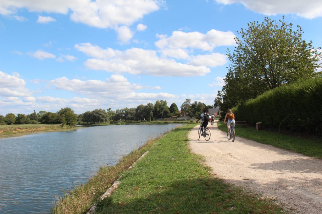 La piste bleue "EUROVELO 6" très fréquentée est très agréable