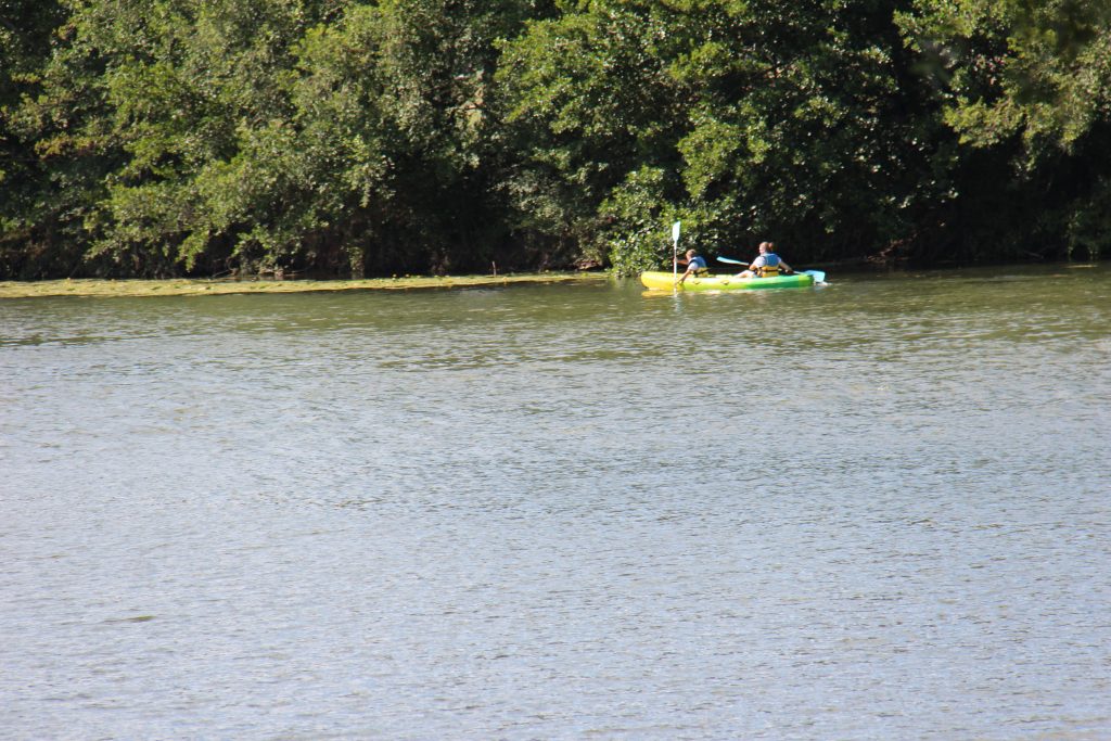 Canoë sur la Saône