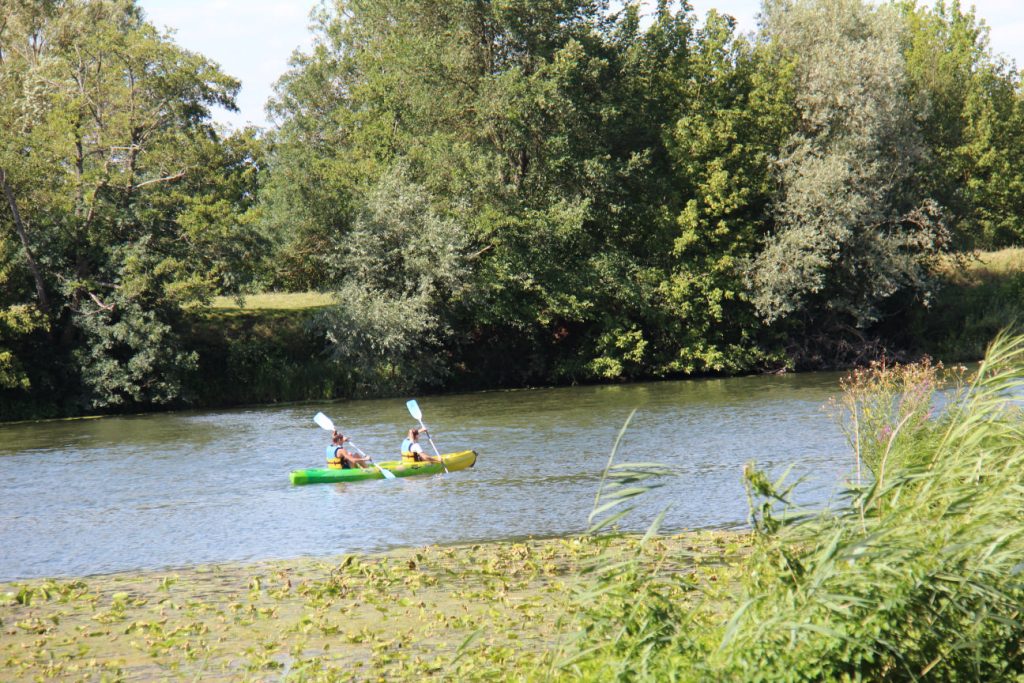 Canoë sur la Saône