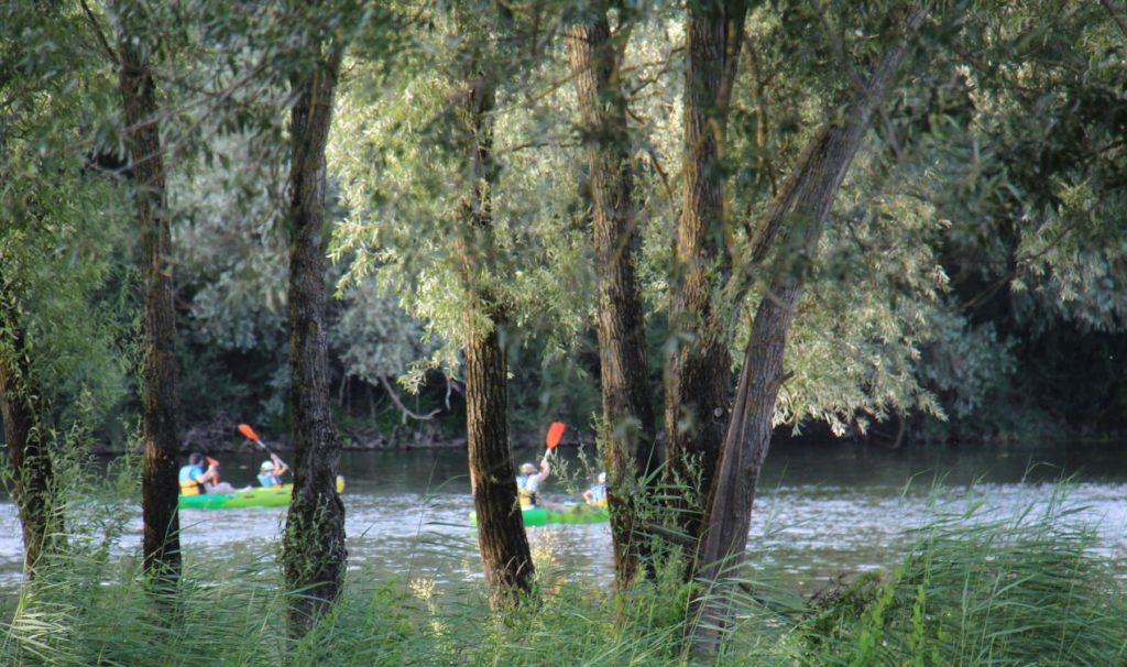 Canoës derrière l'ile