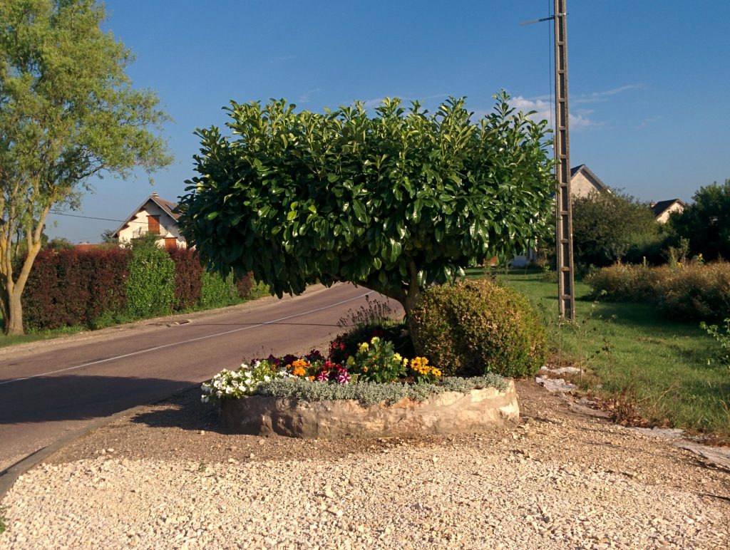 Entrée route de Charrey sur Saône