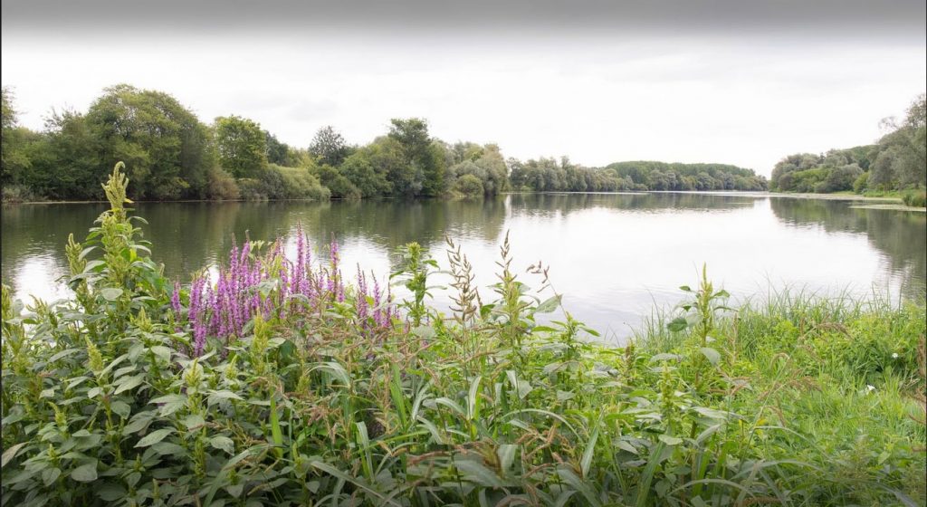 La Saône vue par Christelle Noël